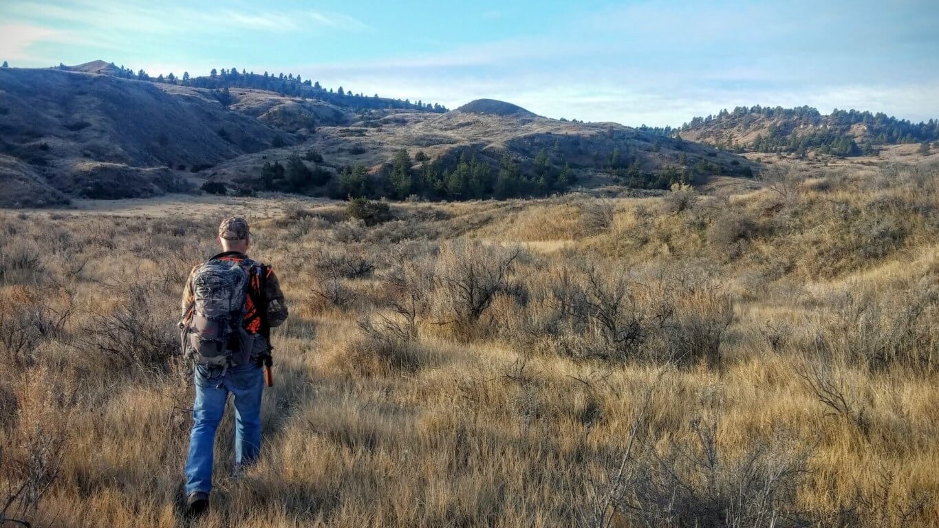 Heading Towards the Herd