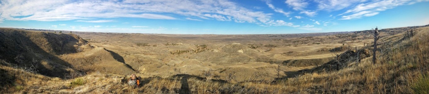 Panoramic View of the CMR