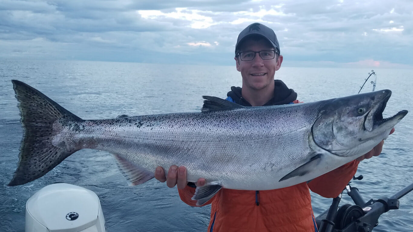 Lake Michigan King Salmon