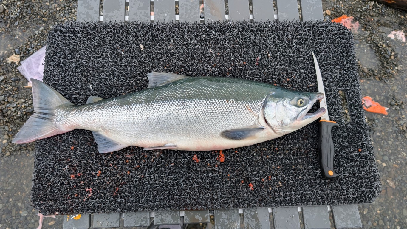 Salmon on Cutting Board