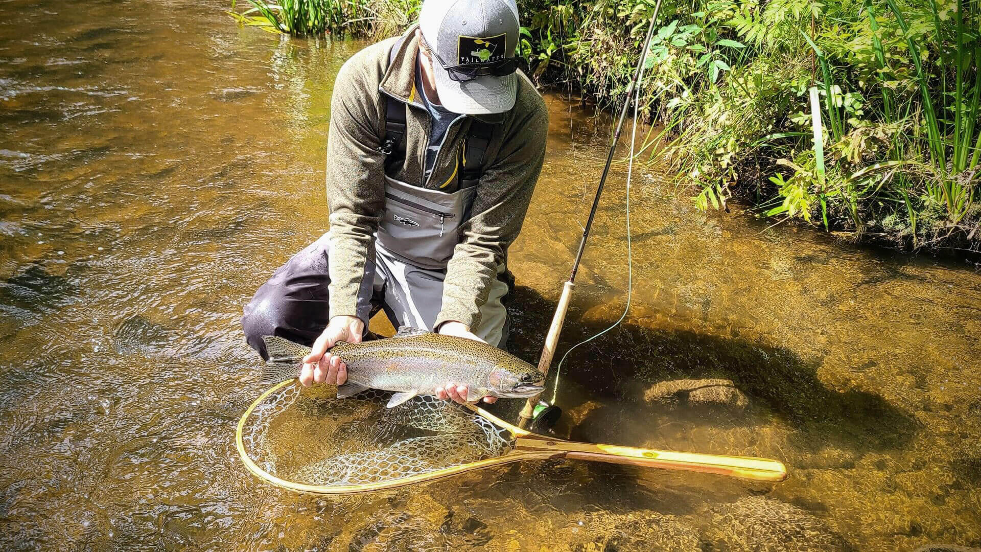 Steelhead on the swing