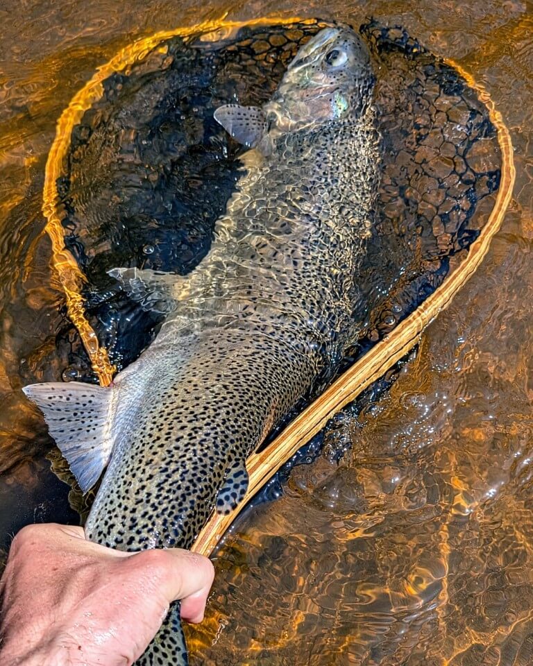 Minnesota Fly Fishing Guide