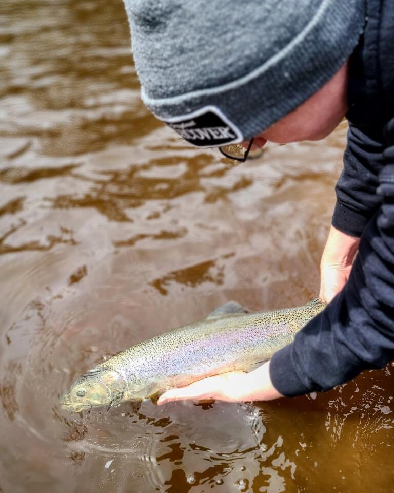 Minnesota Fly Fishing Guide