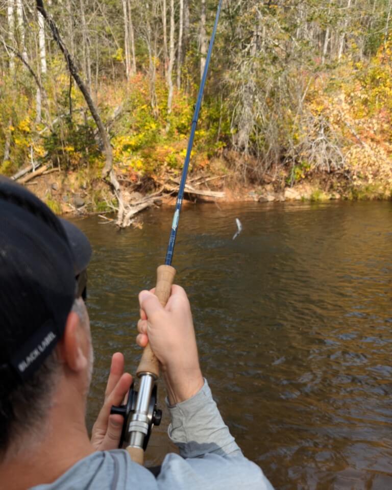 Minnesota Fly Fishing Guide