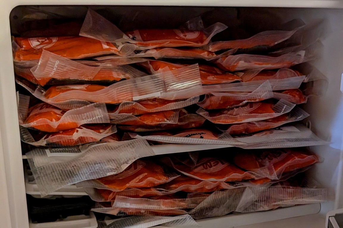 salmon in the freezer