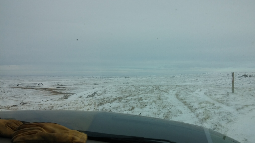 Scouting in Snowy Montana Weather