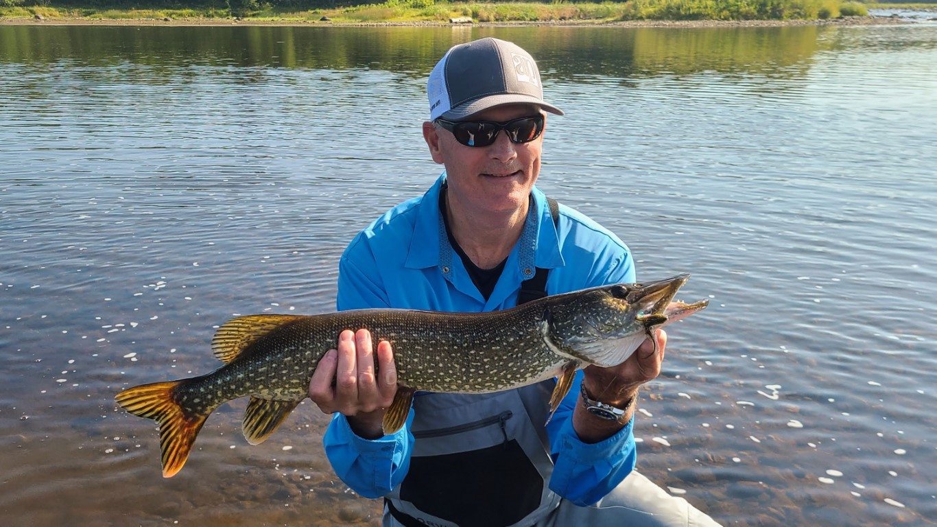 Northern Pike